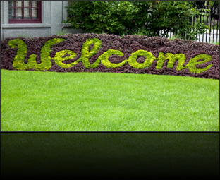 TBG Landscapes : Landscape Design & Management Professionals : Jobs, Hiring TBG Landscapes : Landscape Design & Management Professionals : Jobs, Hiring