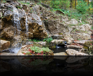 TBG Landscapes : Landscape Design & Management Professionals - Portfolio: Collingwood