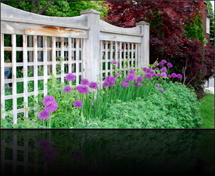 TBG Landscapes : Landscape Design & Management Professionals - Portfolio: Teddington Park