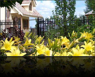 TBG Landscapes : Landscape Design & Management Professionals - Portfolio: Wellilngton North