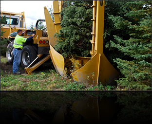 TBG Landscapes : Landscape Design & Management Professionals - Tree Nursery & Spading TBG Landscapes : Landscape Design & Management Professionals - Tree Nursery & Spading