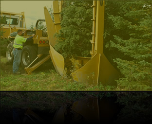 TBG Landscapes : Landscape Design & Management Professionals - Tree Nursery & Spading